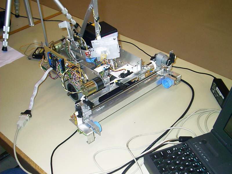 Volleyballer Skorpion von 
Sergej Kotschetow