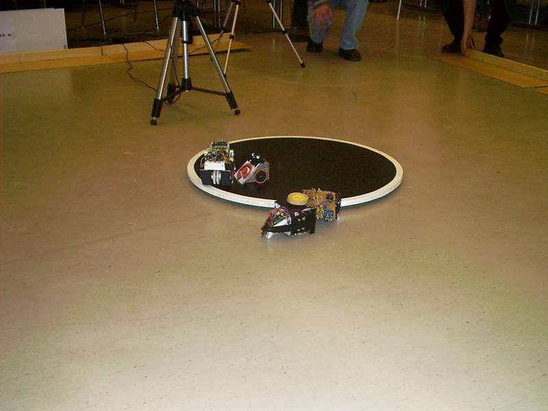 Mini Sumo Last Man Standing